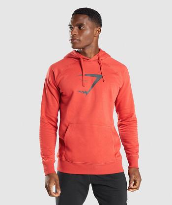 Sudadera Con Capucha Gymshark Sharkhead Infill Hombre Rojas | CO 3622XYU